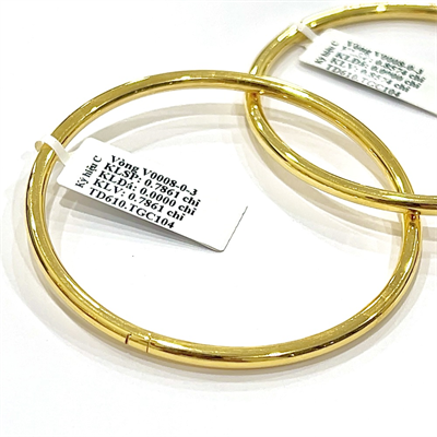Vòng 610