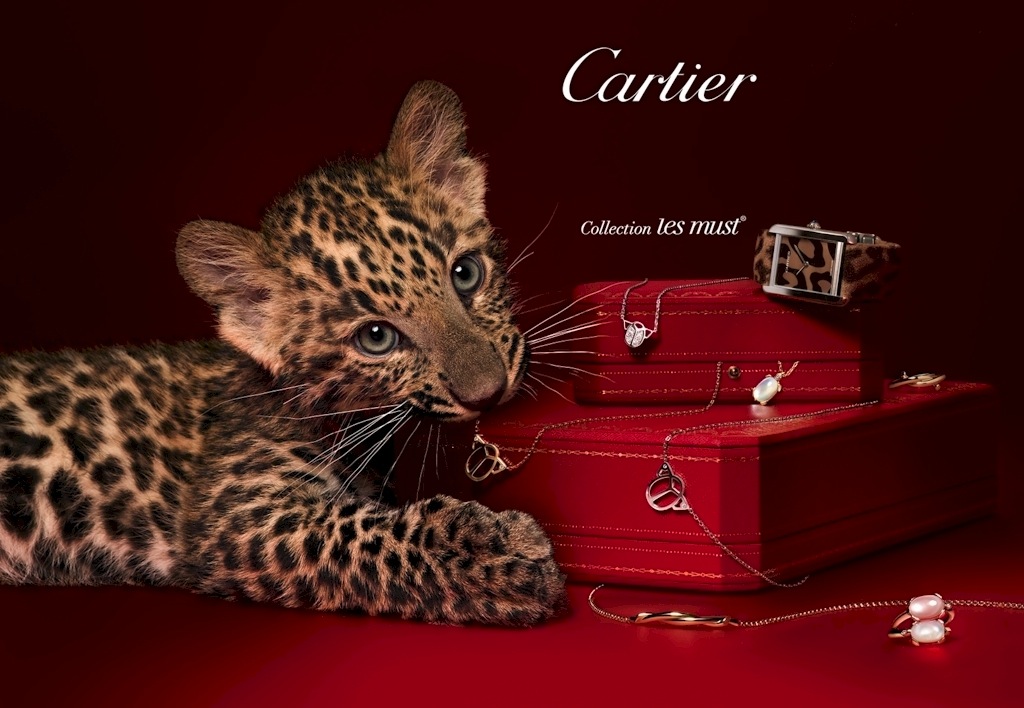 Cartier biểu tượng của trang sức hoàng gia